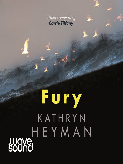 Cover image for Fury